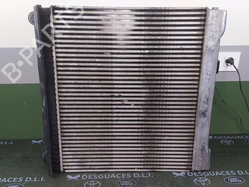 Used Intercooler LAND ROVER RANGE ROVER SPORT I (L320) 3.6 D 4x4 (272 hp) 17853010