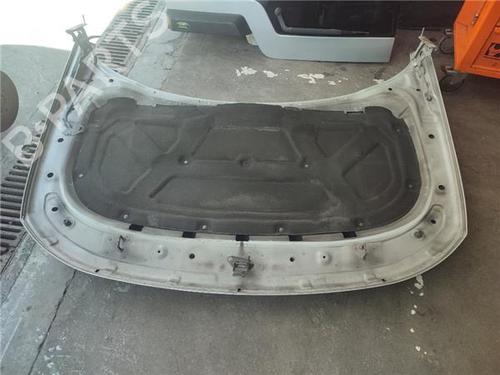 Hood LAND ROVER DISCOVERY III (L319) 2.7 TD 4x4 | BP24920067C1 