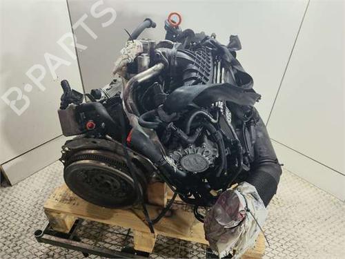 Engine AUDI A3 (8P1) 2.0 TDI 16V | BP36382866M1 - Image 3
