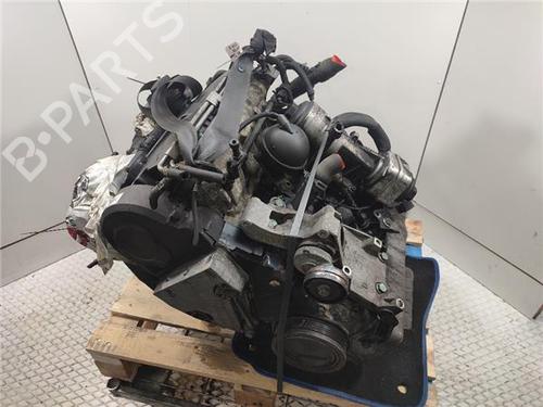 Motor SEAT IBIZA III (6L1) 1.9 TDI (100 hp) 31141162