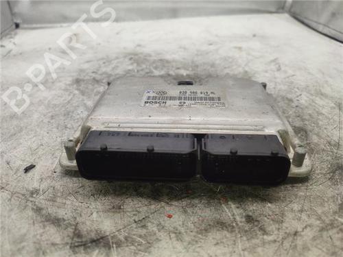 Used Electronic module SEAT IBIZA III (6L1) 1.9 TDI (100 hp) 20506652