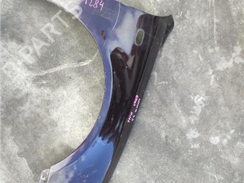 Left front fenders HYUNDAI SONATA V (NF) 2.0 CRDi BP24624854C41