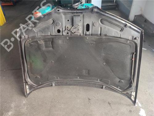 Hood SEAT IBIZA III (6L1) 1.9 TDI | BP29170580C1 