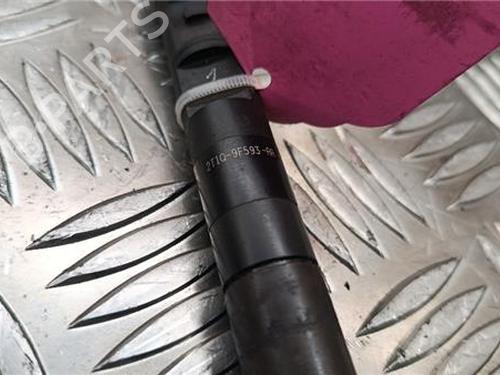 Injector FORD TRANSIT CONNECT (P65_, P70_, P80_) 1.8 TDCi | BP30767686M100