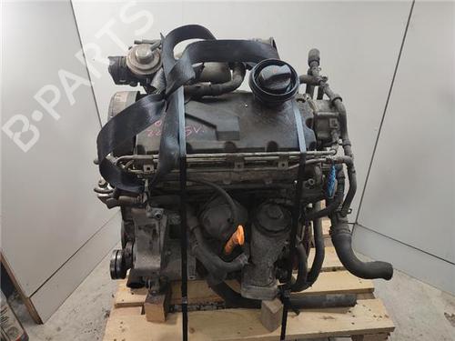Motor SEAT IBIZA III (6L1) 1.9 TDI (100 hp) 27690298