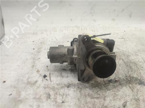 Egr RENAULT MEGANE II (BM0/1_, CM0/1_) 1.5 dCi (BM1F, CM1F) | BP18008750M69 