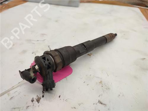 Injector DACIA DOKKER Box Body/MPV 1.5 dCi 75 / Blue dCi 75 (FEJW, FEAH) | BP30164413M100