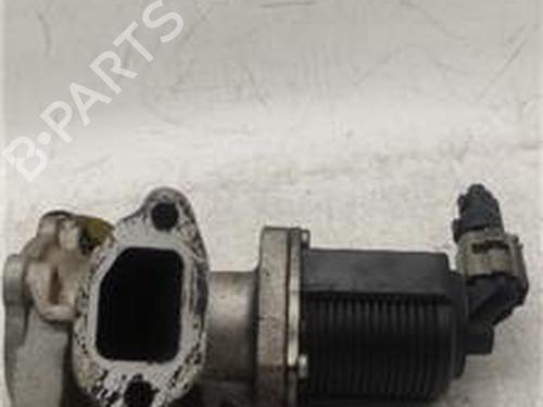 Egr FIAT GRANDE PUNTO (199_) 1.3 D Multijet | BP25858803M69