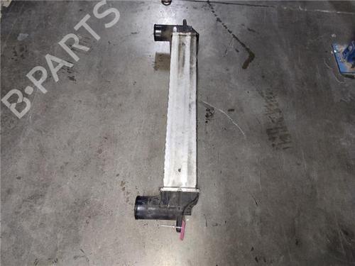 Intercooler CHEVROLET CAPTIVA (C100, C140) 2.0 D | BP30739820M30