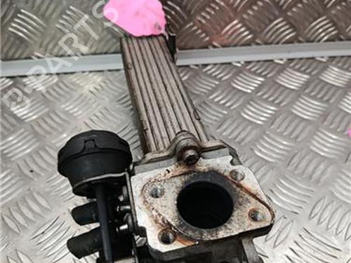 Egr SKODA OCTAVIA II (1Z3) 2.0 TDI 16V | BP30556814M69