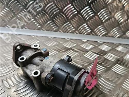 Egr JAGUAR S-TYPE II (X200) 2.7 D | BP29963467M69 