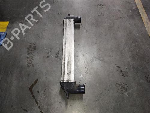 Intercooler CHEVROLET CAPTIVA (C100, C140) 2.0 D | BP30739820M30