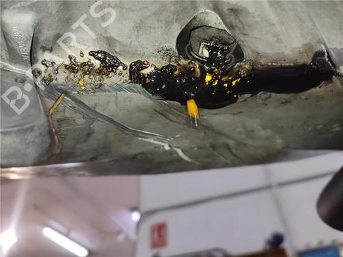 Engine SEAT CORDOBA (6L2) 1.9 TDI | BP32377638M1