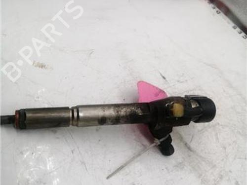 Injector RENAULT MEGANE II Saloon (LM0/1_) 1.5 dCi (LM1E) | BP29902105M100