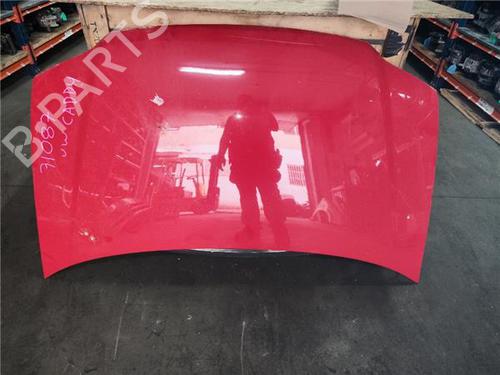 Used Hood Hood VW CADDY III Box Body/MPV (2KA, 2KH, 2CA, 2CH) 2.0 SDI (70 hp) 34410306 34410306