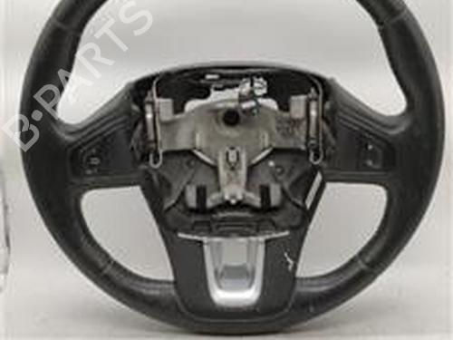 Ratt RENAULT LAGUNA III (BT0/1) 2.0 dCi (BT07, BT0J, BT14, BT1A, BT1S) (131 hp) 18389612