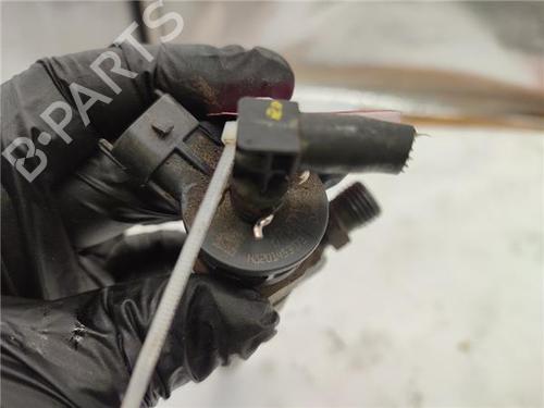 Injector DACIA DOKKER Box Body/MPV 1.5 dCi 75 / Blue dCi 75 (FEJW, FEAH) | BP30164409M100