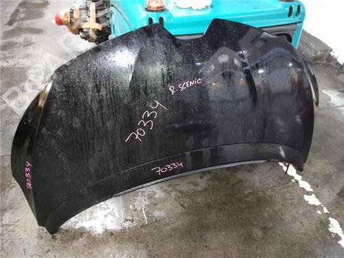 Used Hood RENAULT GRAND SCÉNIC IV (R9_) 1.2 TCe 130 (130 hp) 30366714