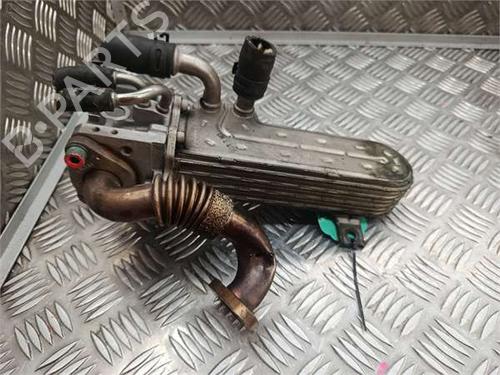 Used Egr Egr 36906432 36906432