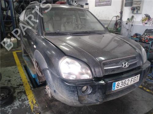 Left mirror HYUNDAI TUCSON (JM) 2.0 CRDi All-wheel Drive | BP18389999C26 