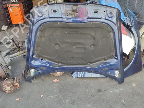 Hood VW TOUAREG (7LA, 7L6, 7L7) 3.0 V6 TDI | BP29345306C1 