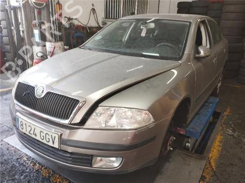 Water radiator SKODA OCTAVIA II (1Z3) 1.9 TDI | BP29645230M31 