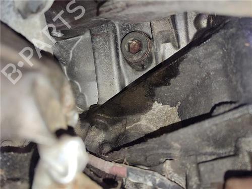 Used Engine LAND ROVER RANGE ROVER III (L322) 4.2 4x4 (396 hp) 30797741