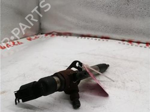 Injector JAGUAR S-TYPE II (X200) 2.7 D | BP29902142M100