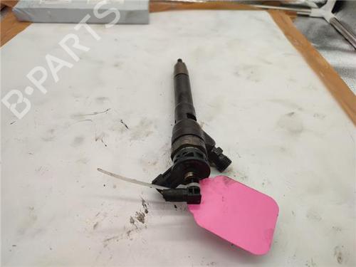 Injector RENAULT GRAND SCÉNIC III (JZ0/1_) 1.6 dCi (JZ00, JZ12) | BP30164416M100