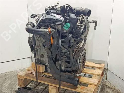 Engine VW GOLF V (1K1) 1.9 TDI | BP39157477M1 - Image 2