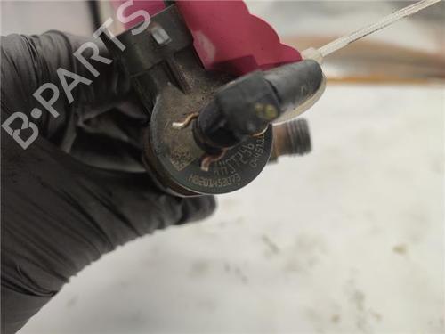 Injector DACIA DOKKER Box Body/MPV 1.5 dCi 75 / Blue dCi 75 (FEJW, FEAH) | BP30164407M100