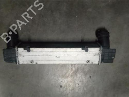 Intercooler BMW 3 (E90) 320 d | BP18399125M30 