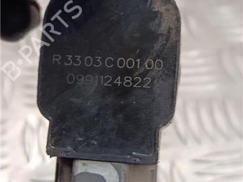 Ignition coil RENAULT SCÉNIC III (JZ0/1_) 1.2 TCe | BP31324706M94