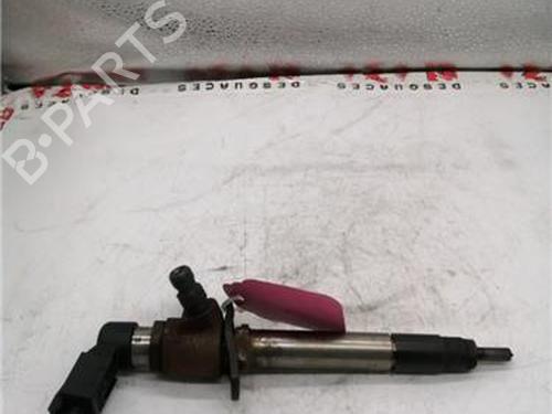 Used Injector JAGUAR S-TYPE II (X200) 2.7 D (207 hp) 29902145