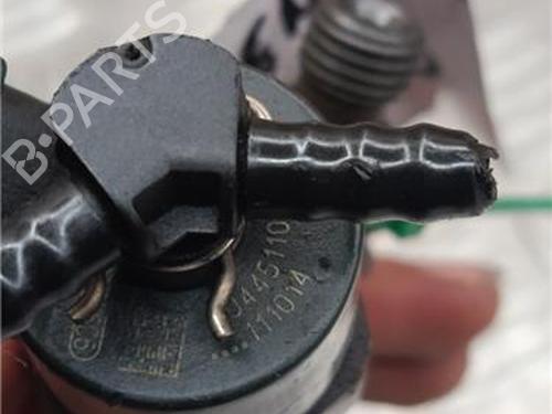 Injector RENAULT SCÉNIC I MPV (JA0/1_, FA0_) 1.9 dCi (JA05, JA1F) | BP30767668M100