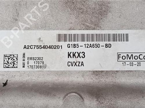 Electronic module FORD KA+ III (UK, FK) 1.2 Ti-VCT | BP31935075M83