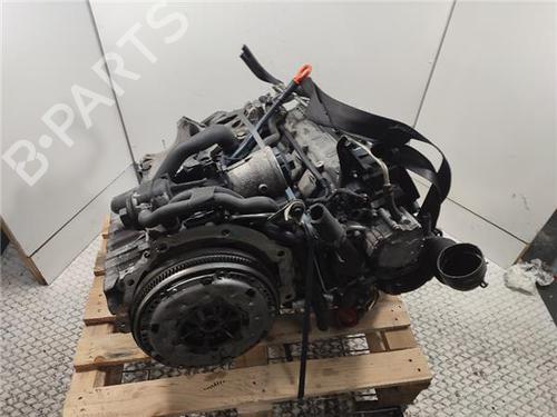 Used Engine VW GOLF V (1K1) 1.9 TDI (105 hp) 31693035