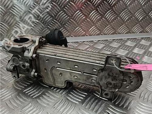 Egr SKODA OCTAVIA II (1Z3) 2.0 TDI 16V | BP30556814M69