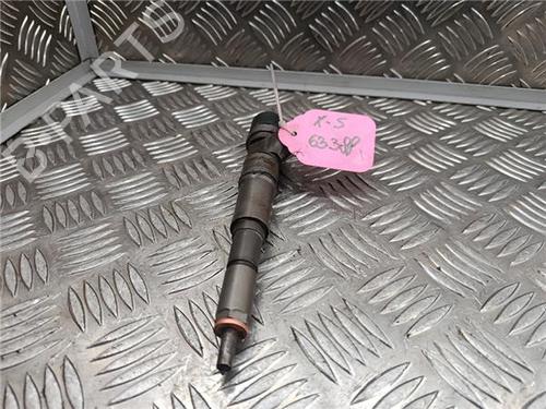 Injector BMW X5 (E53) 3.0 d | BP30652943M100