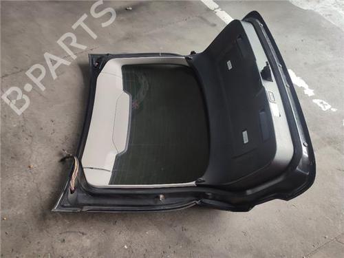 Tailgate BMW X6 (E71, E72) xDrive 50 i | BP18008450C6 