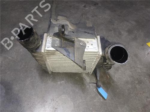 Intercooler VW POLO (9N_, 9A_) 1.4 TDI | BP27306848M30 