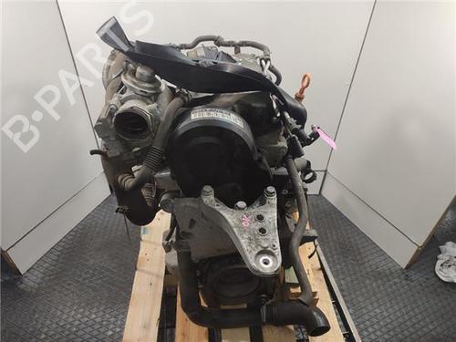 Engine SEAT IBIZA III (6L1) 1.4 TDI | BP29872446M1