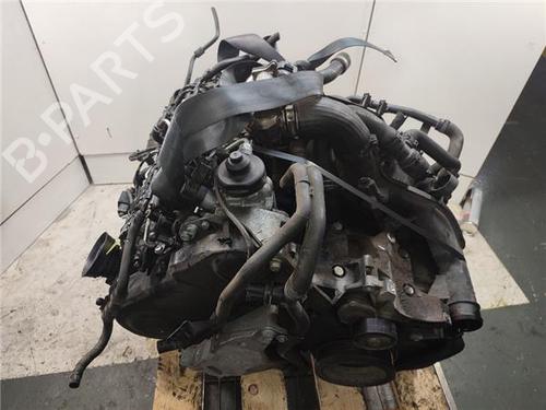 Motor VW PASSAT B6 (3C2) 2.0 TDI | BP29645195M1 