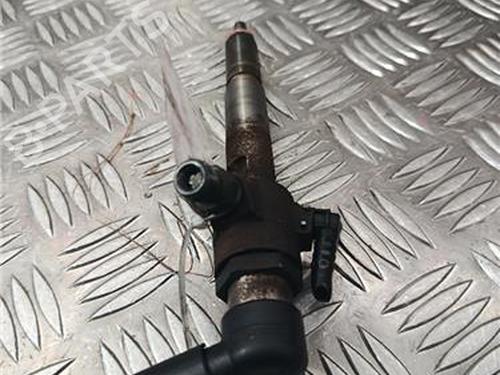 Injector RENAULT MEGANE II (BM0/1_, CM0/1_) 1.5 dCi (BM1E, CM1E) | BP31366809M100