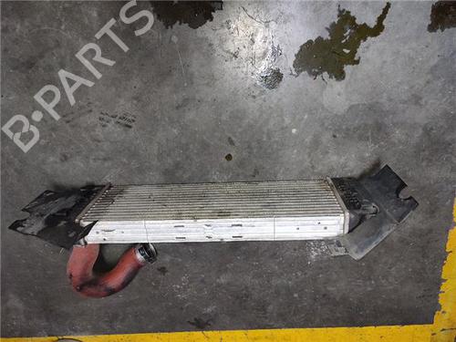 Used Intercooler MERCEDES-BENZ SPRINTER 5-t Van (B906) 510 CDI (906.653, 906.655, 906.657) (95 hp) 24651131