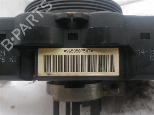 Switch CITROËN XSARA PICASSO (N68) 2.0 HDi | BP29516123I30 
