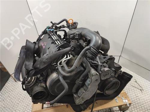 Moteur VW JETTA III (1K2) 1.9 TDI (105 hp) 31911124