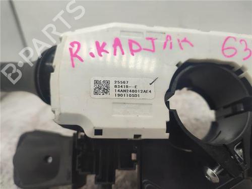 Switch RENAULT KADJAR (HA_, HL_) 1.3 TCe 140 (HLNB, HLN1) | BP19263776I30 