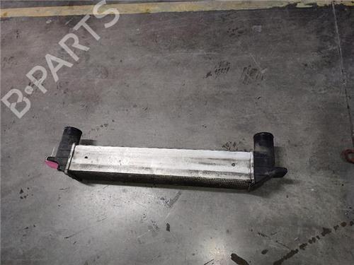 Intercooler CHEVROLET CAPTIVA (C100, C140) 2.0 D | BP30739820M30