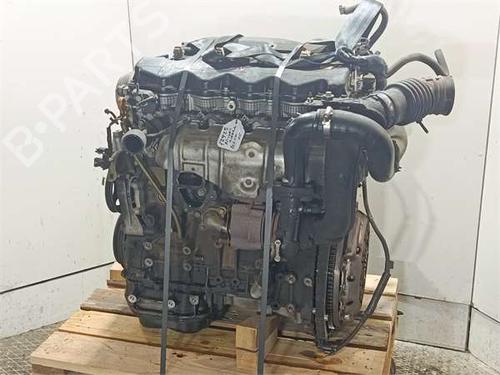 Engine NISSAN ALMERA II (N16) 2.2 dCi | BP39572069M1 - Image 2